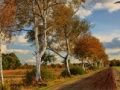 Spil Russian Road