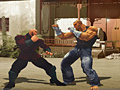 Spil The Perfect Fighter