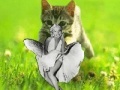Spil Kitty saevs the day!