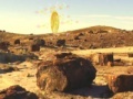 Spil Treasure Hunt-Desert Forest