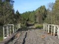 Spil Diamond Bridge Escape