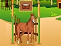 Spil Horse Care Apprenticship