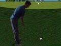 Spil Flash Golf 3D