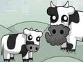 Spil Cowlorful