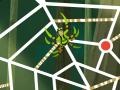 Spil Wild Kratts: Web-Tastic!