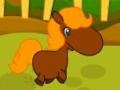 Spil Pony Races