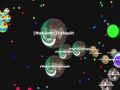 Spil Gota. io 