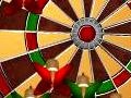 Spil Dart Champion