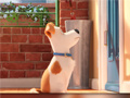 Spil Hidden Letters in The Secret Life of Pets