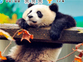 Spil Animal Habitats: Find Items