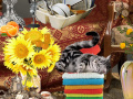 Spil Crazy Cat Lady