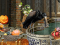 Spil The Witches Curse