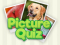 Spil 100 Pics