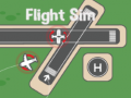 Spil Flight Sim