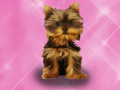 Spil Wash Pets Princess Kids    