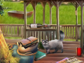 Spil Backyard Makeover