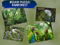Spil Jigsaw Puzzle Rain Forest 