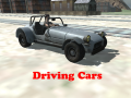 Spil Driving Cars