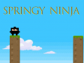 Spil Springy Ninja