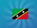 Spil Guess The Flag