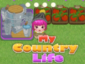 Spil My County Life