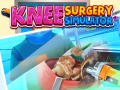 Spil Knee Surgery Simulator