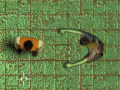 Spil Maze Of Infection