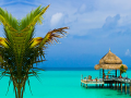 Spil Tropical Paradise