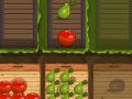 Spil Fruit Gardener