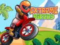 Spil Extreme Bikers