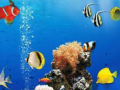 Spil Sea Underwater Difference