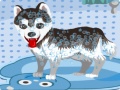 Spil My Cute Dog Bathing