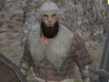 Spil Vikings Aggression