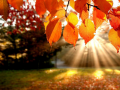 Spil Jigsaw Puzzle: Autumn
