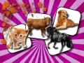 Spil Domestic Animal Memory Challenge