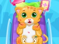 Spil Little Cat Doctor