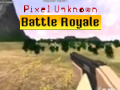 Spil Pixel Unknown Battle Royale