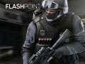 Spil Flashpoint