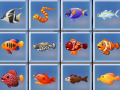 Spil Find The Fish