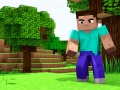 Spil Mini Craft