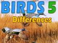 Spil Birds 5 Differences