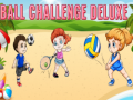 Spil Ball Challenge Deluxe