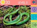 Spil 15 Picture Quiz