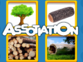 Spil Assotiation 
