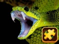 Spil Snake Puzzle Challenge