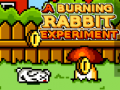 Spil A Burning Rabbit Experiment