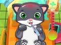 Spil Cat Doctor