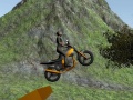 Spil Dirt Bike Rider