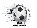 Spil Ball Challenge