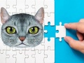 Spil Abyssinian Puzzle Challenge